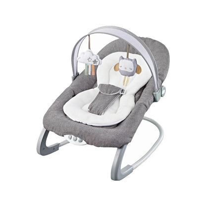 Baby Rocker & Swing Chair