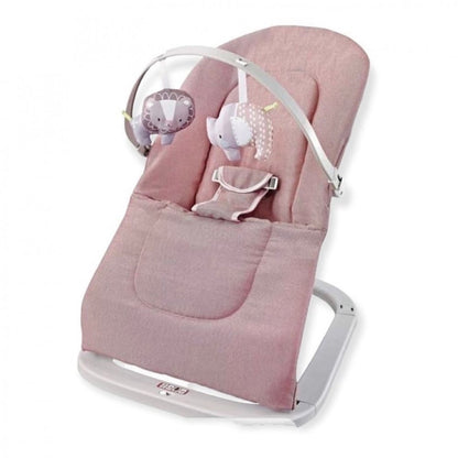 Baby Rocker & Swing Chair