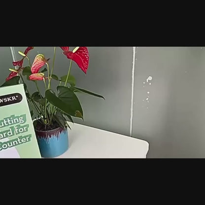 Antibacterial Acrylic Cutting Board with Counter Lip